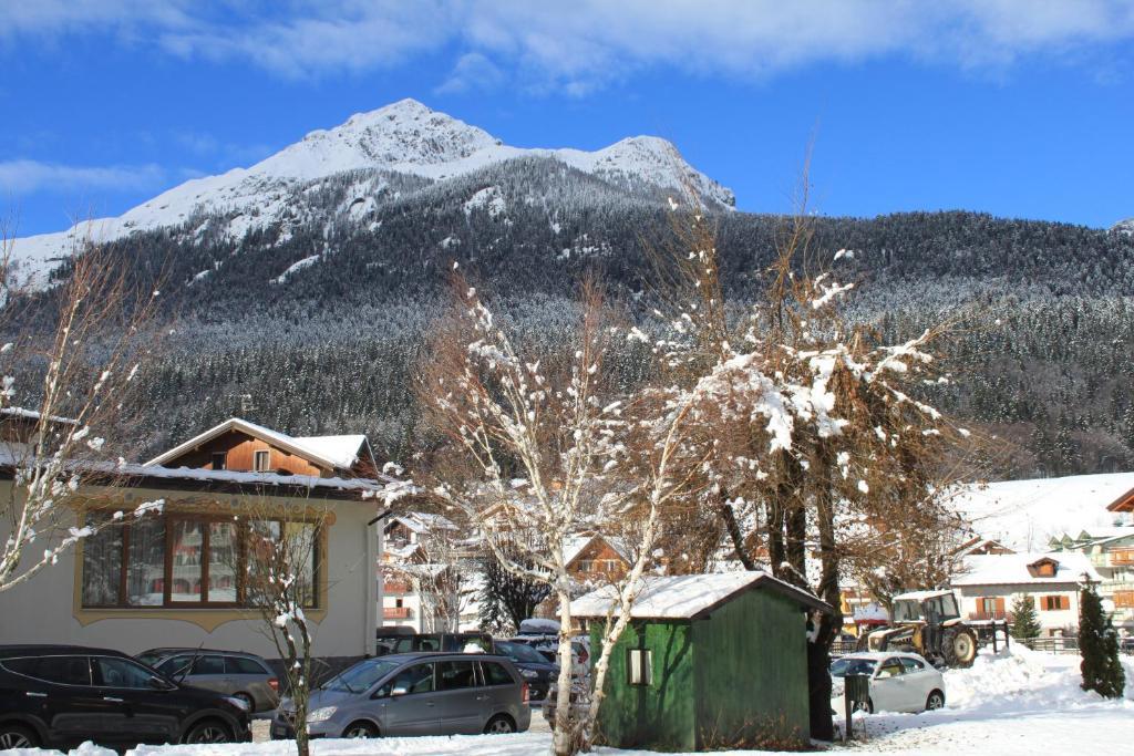 Hotel Stella Alpina Andalo Zewnętrze zdjęcie